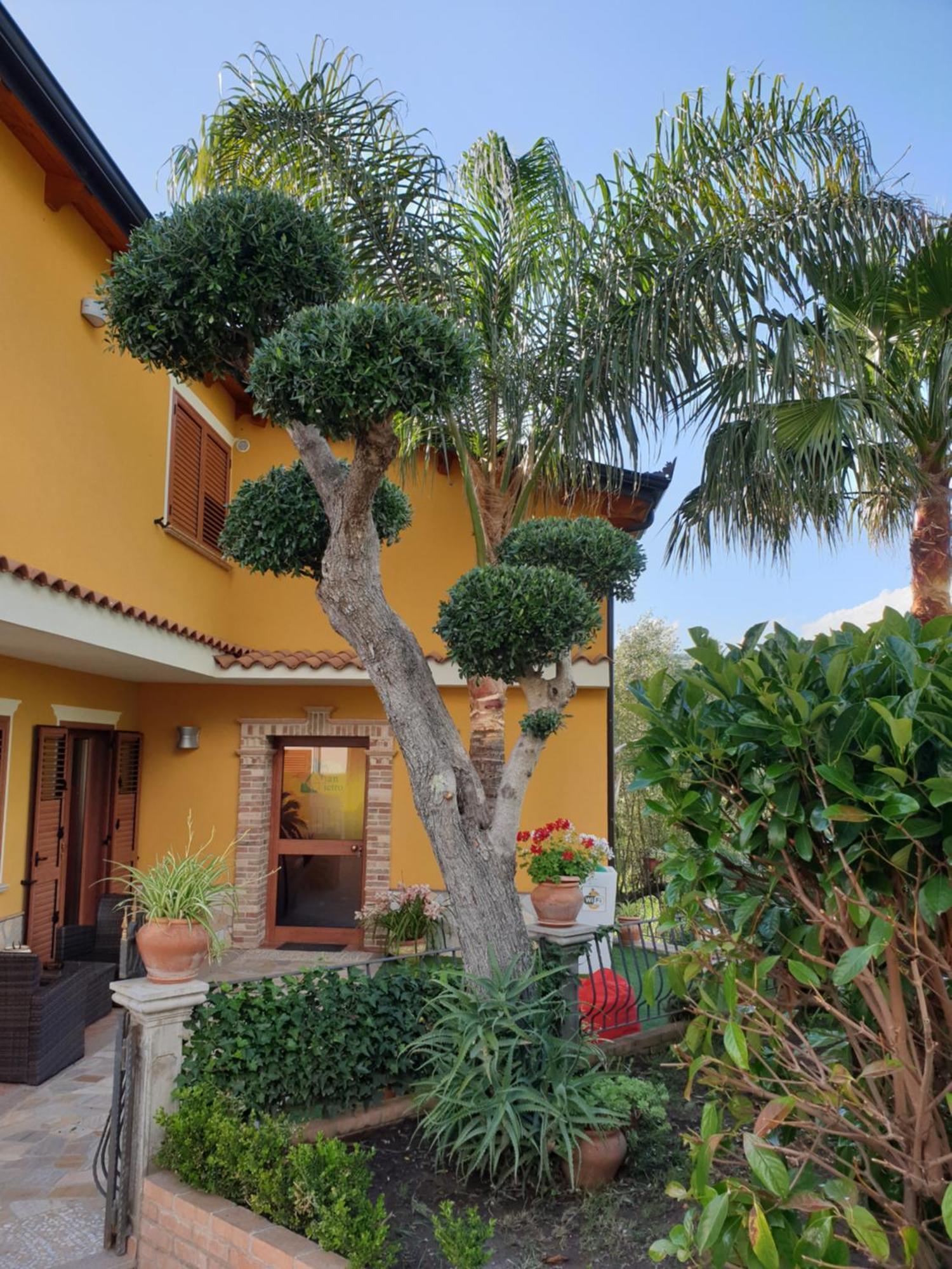 San Pietro Bed & Breakfast Mileto Exterior photo