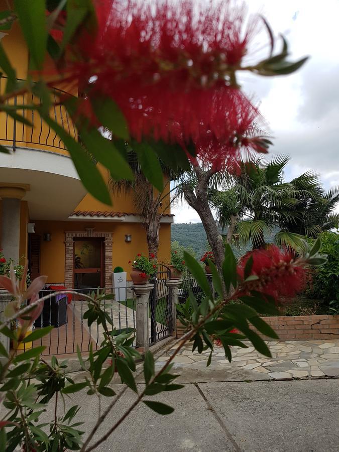 San Pietro Bed & Breakfast Mileto Exterior photo