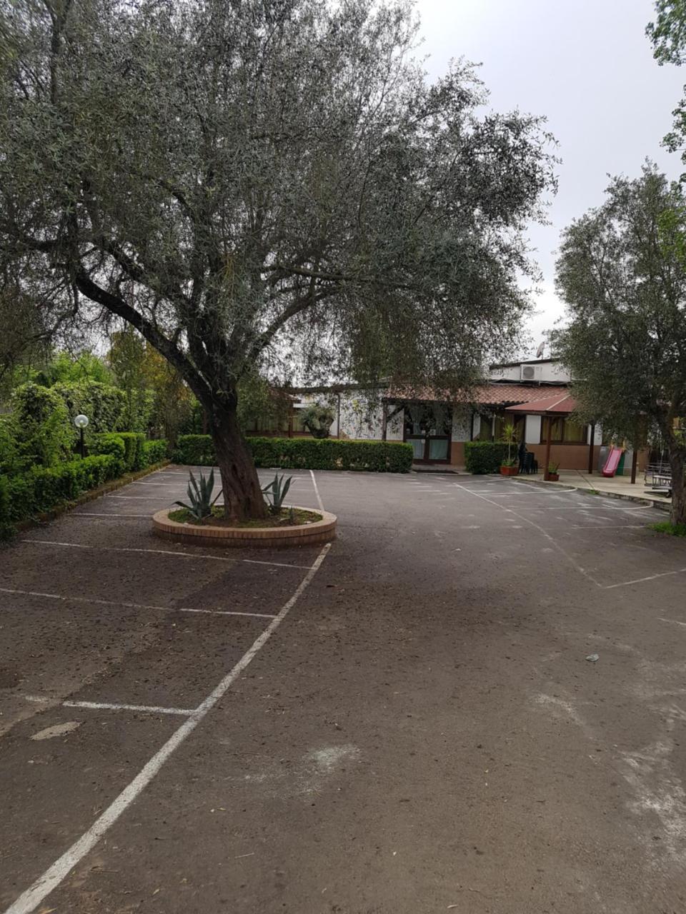 San Pietro Bed & Breakfast Mileto Exterior photo